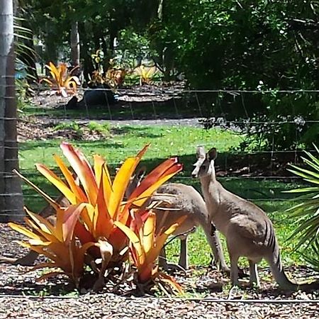 Bluegrass Bnb Bundaberg Buitenkant foto